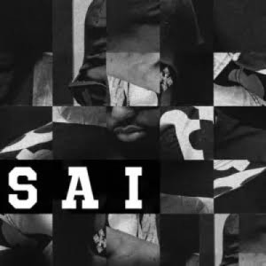 RapStar x TrapStar