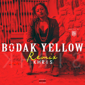 Bodak Yellow (Remix) Hosted By DJ Ritchelly