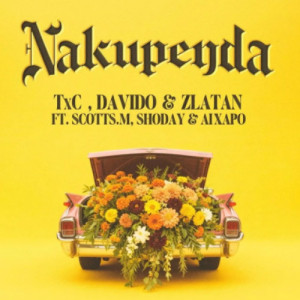 Nakupenda Pt. Davido, Shoday Scotts, Maphuma, Zlatan e Al Xapo